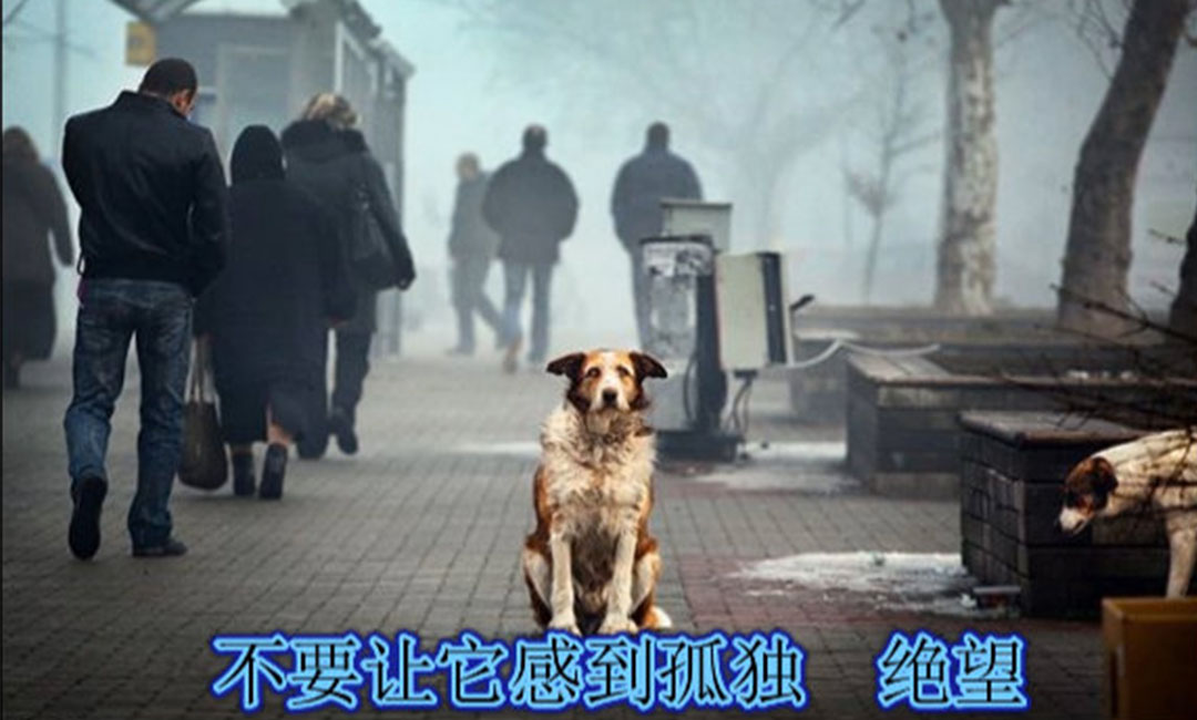 云南云南爱影圈微博微信转发案例
